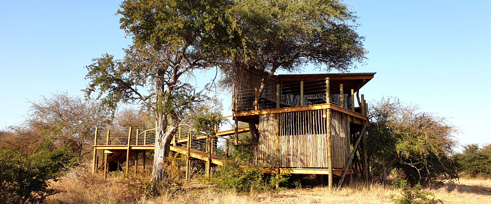 Stunning Treehouses and Braai areas